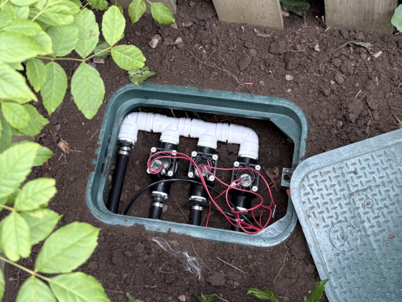 Screenshot 2025-08-18 at 9.51.59 AM