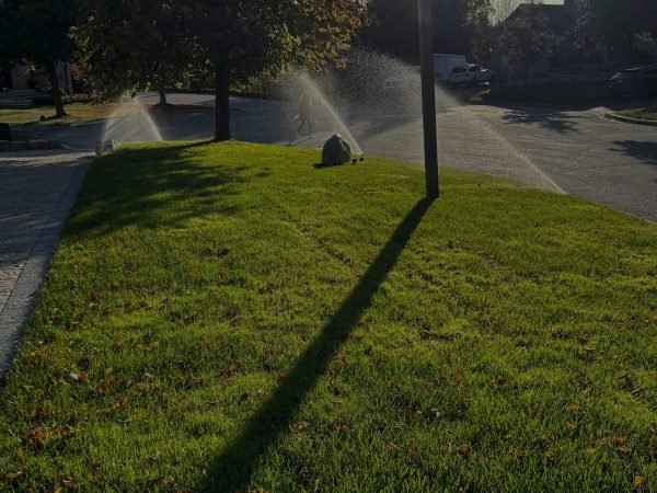 a9c361b7-c152-44a5-a466-083b249d50b8